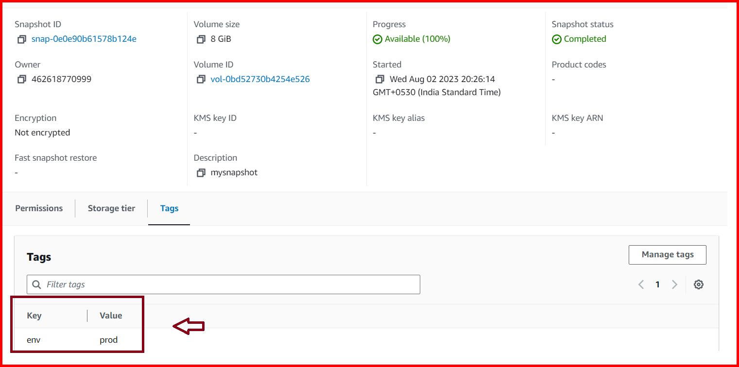 Picture showing the tag name on the EBS snapshot
